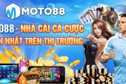 Truy cập đường link uy tín để tham gia cá cược Mot88 poker tại thiên đường Moto88